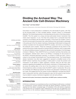 Dividing the Archaeal Way: the Ancient Cdv Cell-Division Machinery