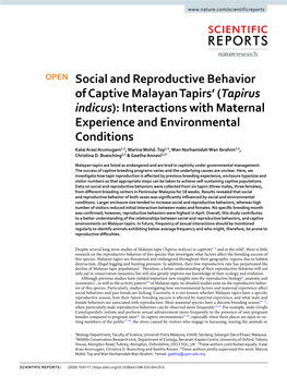 Social and Reproductive Behavior of Captive Malayan Tapirs