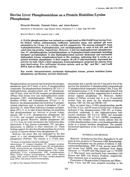 Bovine Liver Phosphoamidase As a Protein Histidine/Lysine Phosphatase