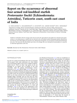 Report on the Occurrence of Abnormal Four-Armed Red-Knobbed Starfish