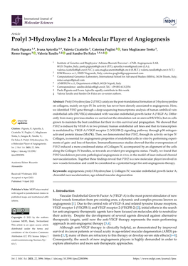 Prolyl 3-Hydroxylase 2 Is a Molecular Player of Angiogenesis