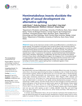 Hemimetabolous Insects Elucidate the Origin of Sexual Development Via