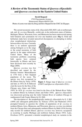 A Review of the Taxonomic Status of Quercus Ellipsoidalis and Quercus Coccinea in the Eastern United States