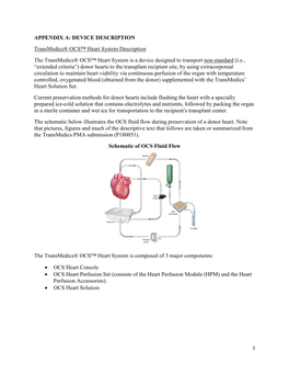 CSDP April 6, 2021 Appendices A