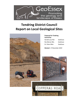 Tendring Council Logs Report 2019