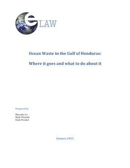 Ocean Waste in the Gulf of Honduras