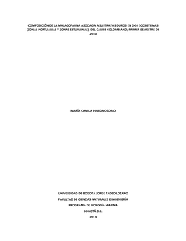 (Zonas Portuarias Y Zonas Estuarinas), Del Caribe Colombiano, Primer Semestre De 2010