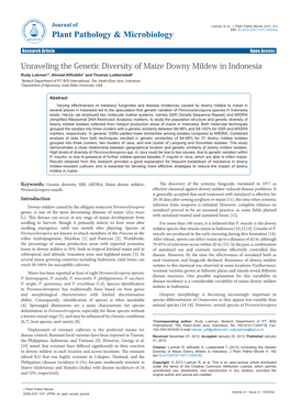 Unraveling the Genetic Diversity of Maize Downy Mildew in Indonesia Rudy Lukman1*, Ahmad Afifuddin1 and Thomas Lubberstedt2 1Biotech Department of PT