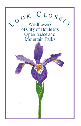 Wildflowers Brochure