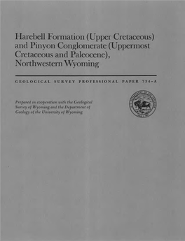 And Pinyon Conglomerate (Uppermost Cretaceous and Paleocene), Northwestern Wyoming