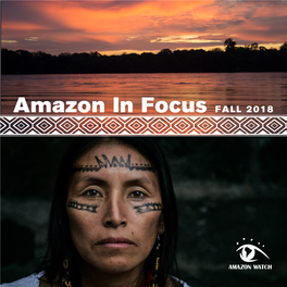 2018 Amazon in Focus