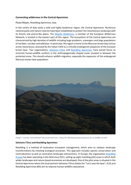 Connecting Wilderness in the Central Apennines