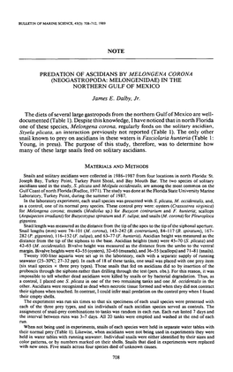 Predation of Ascidians by &lt;I&gt;Melongena