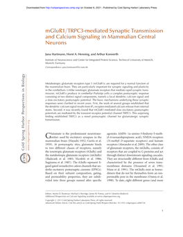 Mglur1/TRPC3-Mediated Synaptic Transmission and Calcium Signaling in Mammalian Central Neurons