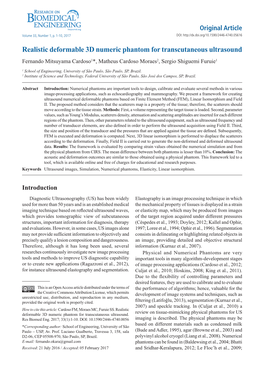 Realistic Deformable 3D Numeric Phantom for Transcutaneous Ultrasound Fernando Mitsuyama Cardoso1*, Matheus Cardoso Moraes2, Sergio Shiguemi Furuie1