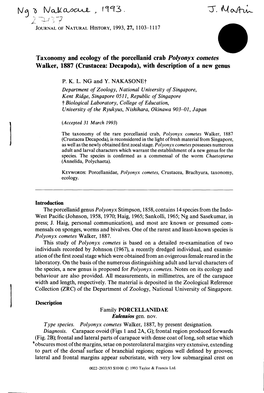 Taxonomy and Ecology of the Porcellanid Crab Polyonyx Cometes Walker, 1887 (Crustacea: Decapoda), with Description of a New Genus