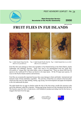 PAL-28-Fruit-Flies-Fiji-En