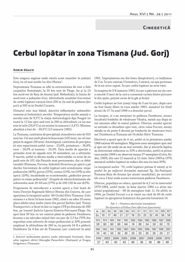 Cerbul Lopatar in Zona Tismana (Jud