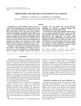 Orientation and Open-Sea Navigation in Sea Turtles