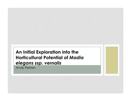 An Initial Exploration Into the Horticultural Potential of Madia Elegans Ssp. Vernalis Andy Petran TAXONOMY and RANGE