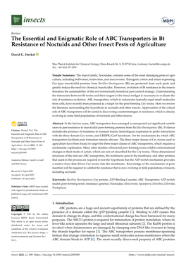 The Essential and Enigmatic Role of ABC Transporters in Bt Resistance of Noctuids and Other Insect Pests of Agriculture