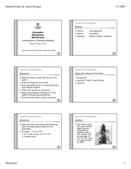 Pamela Fisher & Aaron Krieger 3/1/2007 Marijuana 1