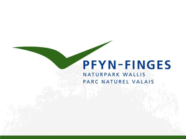 Naturpark Pfyn-Finges 1 the Most Democratic Nature Parks Worldwide?
