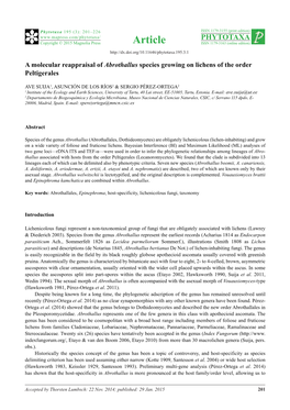A Molecular Reappraisal of Abrothallus Species Growing on Lichens of the Order Peltigerales