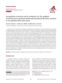 Ascophyllum Nodosum and Its Symbionts: XI. the Epiphyte Vertebrata Lanosa Performs Better Photosynthetically When Attached to Ascophyllum Than When Alone