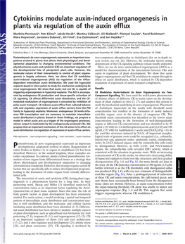 Cytokinins Modulate Auxin-Induced Organogenesis in Plants Via Regulation of the Auxin Efflux