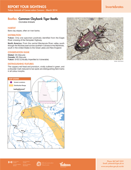REPORT YOUR SIGHTINGS Invertebrates Yukon Animals of Conservation Concern - March 2014