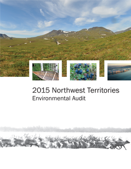 Environmental Audit 2015