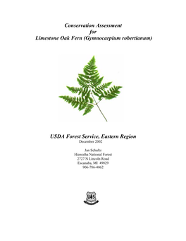 Limestone Oak Fern (Gymnocarpium Robertianum)