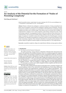 An Analysis of the Potential for the Formation of ‘Nodes of Persisting Complexity’