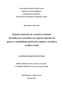 Filogenia Molecular De Acianthera Scheidw. (Orchidaceae) Com Ênfase Nas Espécies Rupícolas Do Gênero E Variabilidade Genética Do Complexo Acianthera Prolifera Lindl