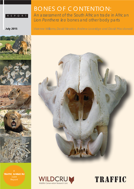 BONES of CONTENTION: REPORT an Assessment of the South African Trade in African Lion Panthera Leo Bones and Other Body Parts