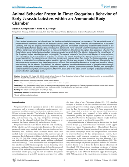 Gregarious Behavior of Early Jurassic Lobsters Within an Ammonoid Body Chamber