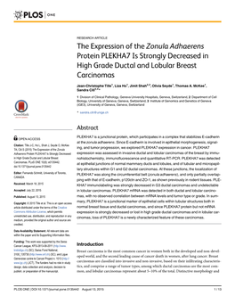 The Expression of the Zonula Adhaerens Protein PLEKHA7 Is Strongly Decreased in High Grade Ductal and Lobular Breast Carcinomas