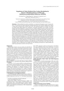 Regulation of Folate-Mediated One-Carbon Metabolism by Glycine N-Methyltransferase (GNMT) and Methylenetetrahydrofolate Reductase (MTHFR)