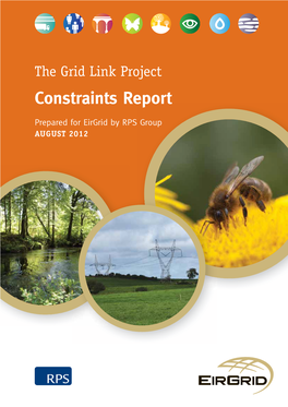 The Grid Link Project Constraints Report