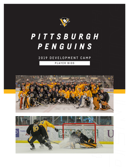 Pittsburgh Penguins