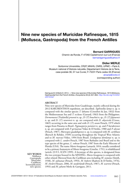 Nine New Species of Muricidae Rafinesque, 1815 (Mollusca, Gastropoda) from the French Antilles