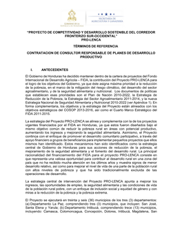 TDR Responsable De Planes De Desarrollo Productivo 28 Junio 2018