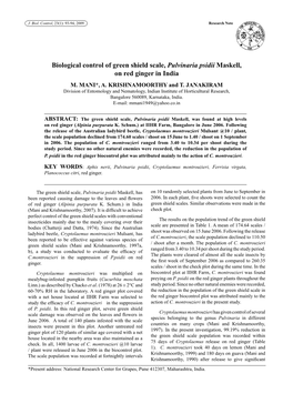 Biological Control of Green Shield Scale, Pulvinaria Psidii Maskell, on Red Ginger in India M