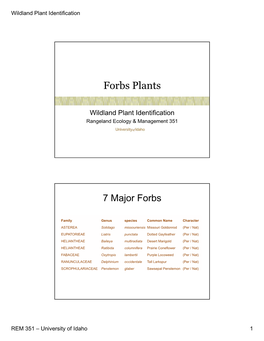 Forbs Plants