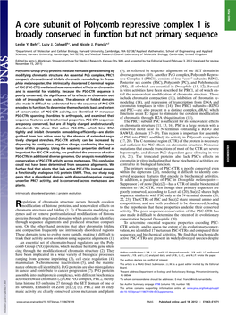 A Core Subunit of Polycomb Repressive Complex 1 Is Broadly Conserved In