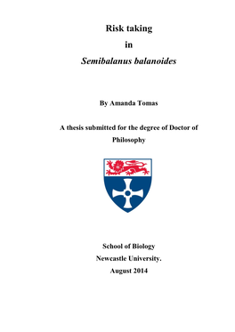 Risk Taking in Semibalanus Balanoides