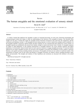 T He Human Amygdala and the Emotional Evaluation of Sensory Stimuli David H