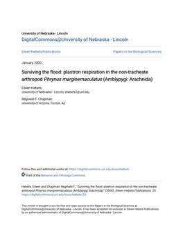 Plastron Respiration in the Non-Tracheate Arthropod <I