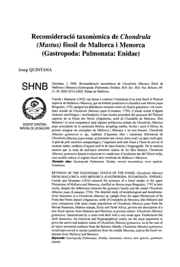 Reconsideració Taxonòmica De Chondrula (Mastus) Fòssil De